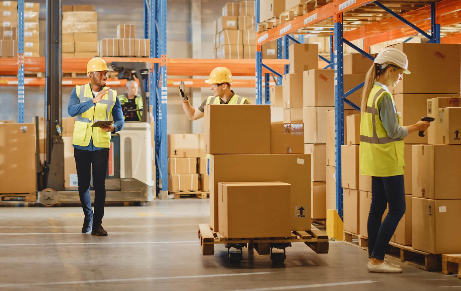 Warehouse Job